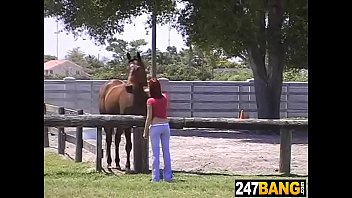 tubesexvideos horse girl 